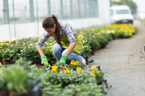 Garden landscaping layout planning for a Maidavale property