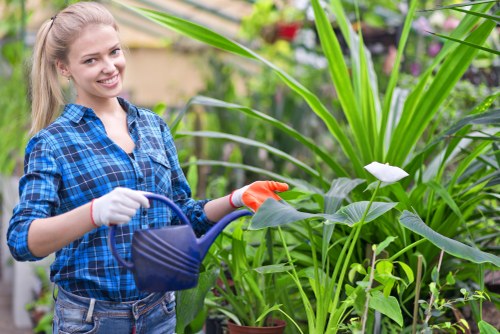 Landscaping Maidavale quote for a residential garden clean-up