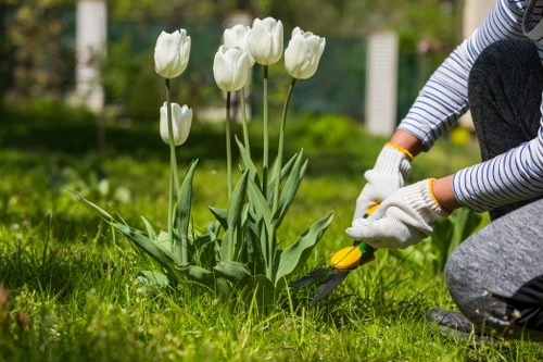 Garden soft landscaping work in Maidavale with planting beds and fresh lawn