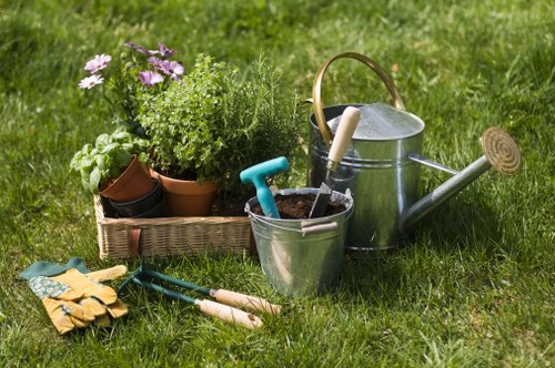 Professional soft landscaping for a Maidavale property frontage