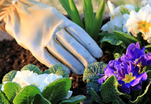 Recycling and recovery efforts supporting sustainable landscaping in Maidavale