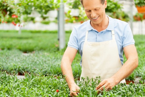 Image representing a landscaping issue assessment during a site inspection