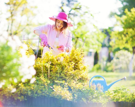 Load-based green waste pricing for a local landscaping job