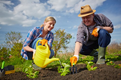 Local landscaping team assessing a Maidavale garden layout